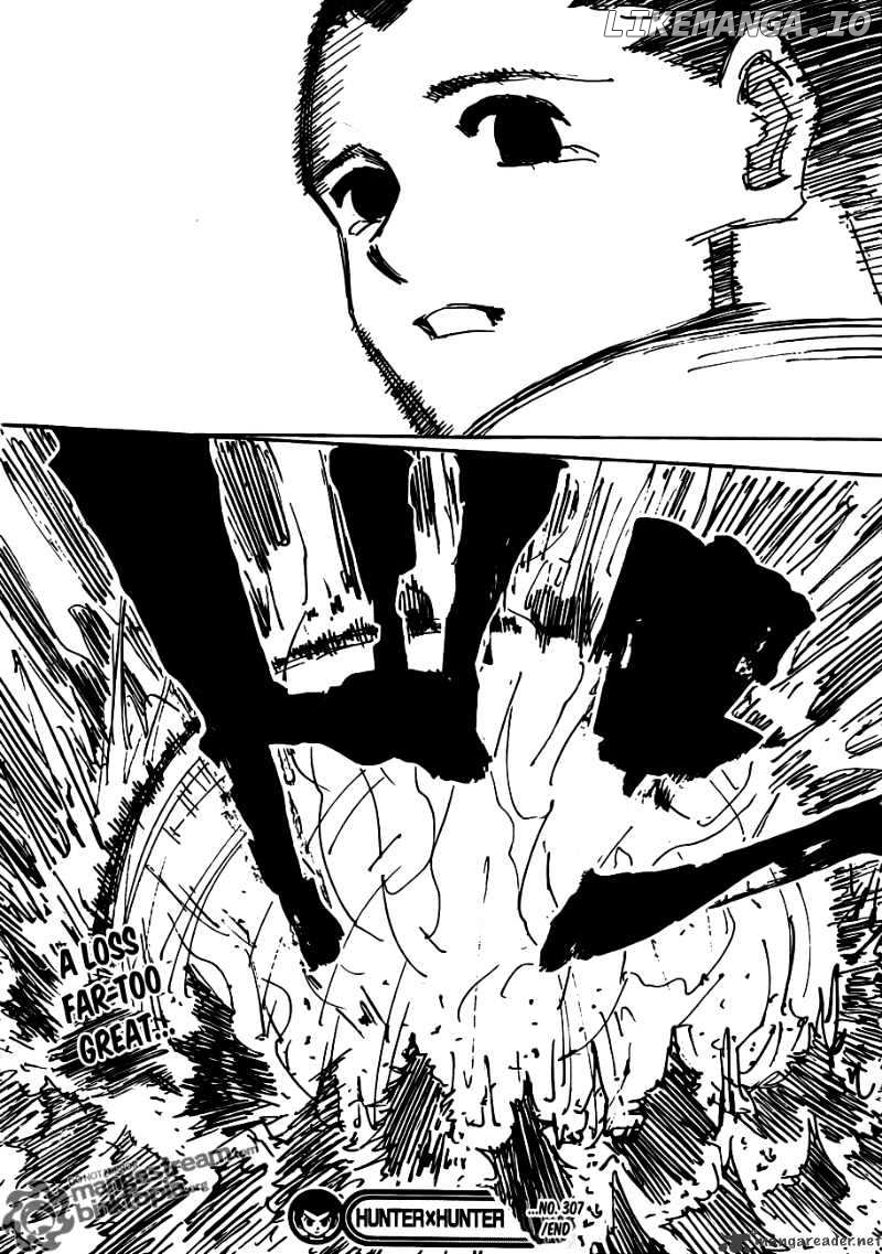 Hunter x Hunter, Chapter 307 image 17